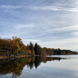 Meet your Posher, Becky